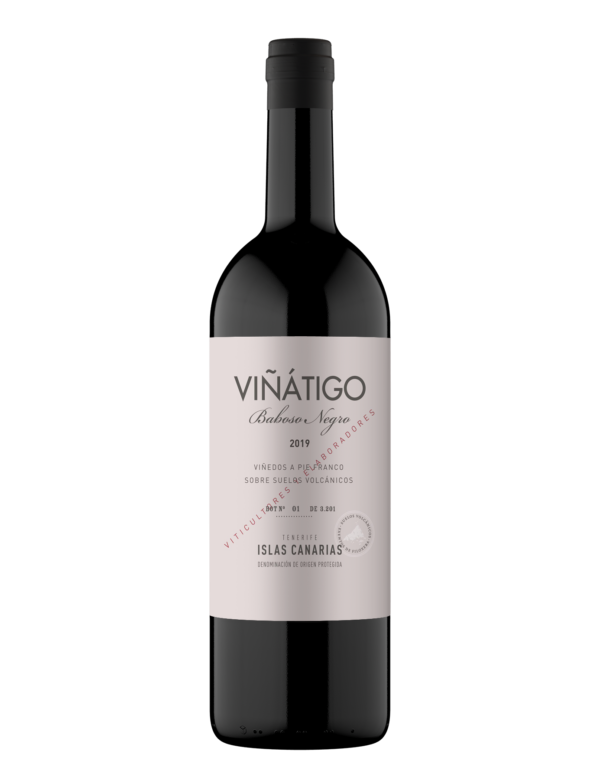 VINATIGO BABOSO NEGRO