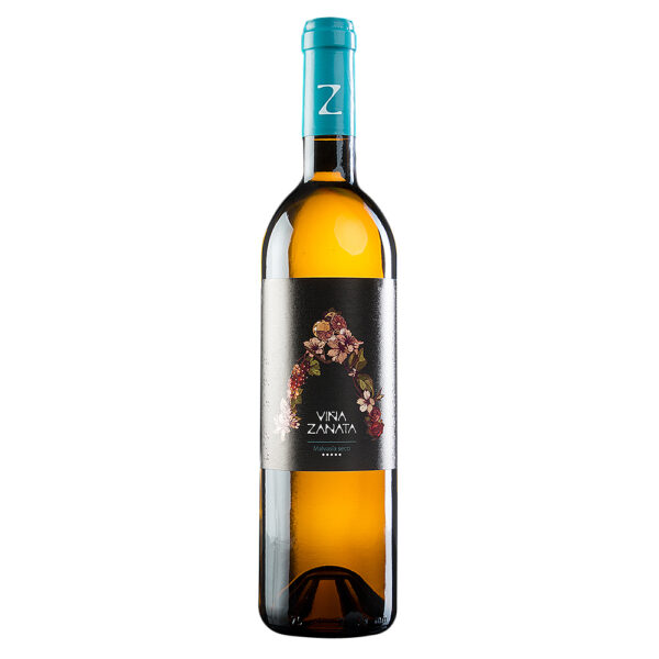 ZANATA MALVASIA SECO